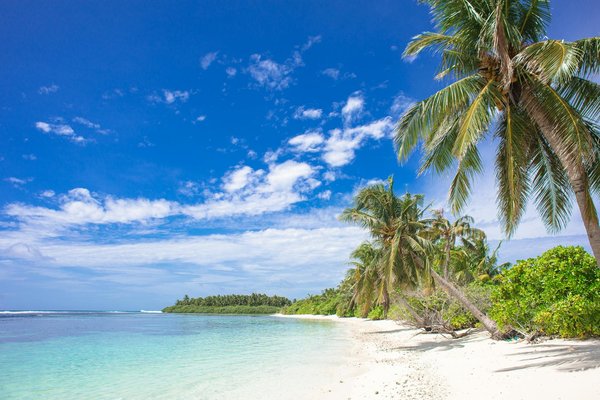 Why Should You Choose Eco-Friendly Accommodation Options in the UK?