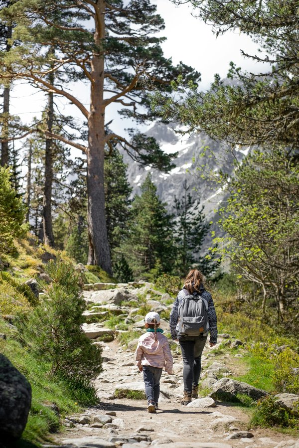 Unlock your next adventure with hike seeker's top trails